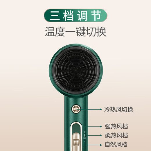 AUX Hair Dryer Home Negative Ions Will Not Damage Hair 1800W High Power High Wind Hair Dryer Dormitory Use Low Power Mini Portable Hair Dryer AH7800 Emerald Negative Ion Hair Care 1800W