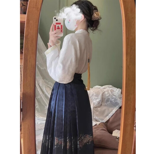 YUEXUNZI Chinese style improved Hanfu Ming system new Chinese style autumn and winter new dress women's top horse face skirt full set 1047 top + horse face skirt S
