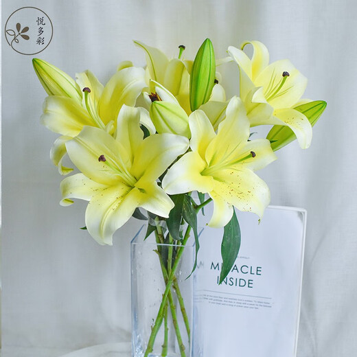 Yue Colorful AB grade high-quality perfume lilies, various living flowers for home and office, Kunming base, freshly picked for straight hair, 10 random single-color lilies (5 branches for double heads)