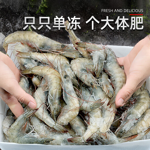 North Bay Shrimp Qingdao Prawn Fresh Frozen Base Shrimp Shrimp Seafood Water Produced Fresh White Shrimp Green Prawn Sea Shrimp Prawn Salt Frozen Prawn 3.3Jin Jin equal to 0.5kg (net weight) 16-18cm single frozen extra large shrimp