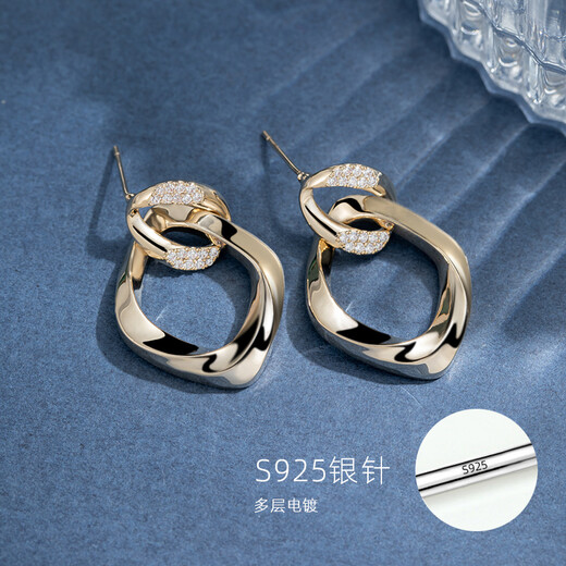 Qlady Geometric Earrings Women's Fashion Temperament 925 Silver Needle Light Luxury Earrings Niche Design Birthday Gift for Girlfriend
