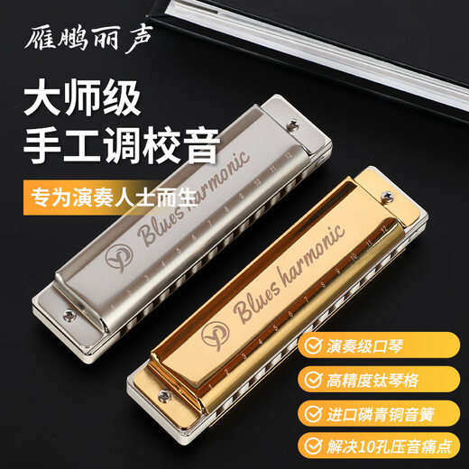 雁鹏丽声高档初学者十二孔树脂格布鲁斯口琴低音加faLa 12孔 红色 C调（初学者专用）