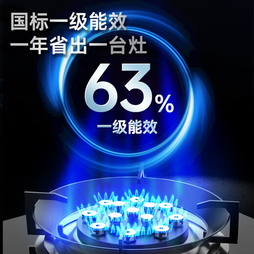 Watti Star Gasofen Home 5.2 kW Feuerofen kostenlose Hausinstallation und Demontage von alten Maschine Erdgas Flüssiggas Desktop eingebetteter Doppelverbrauch