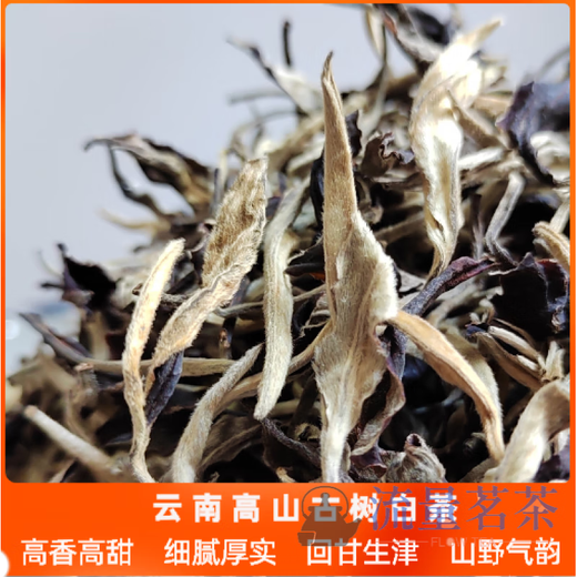 Qiu Boyuan Mid-Autumn Ceremony 2024 Yunnan Ancient Tree White Tea Alpine Yangta Moonlight Beauty White Peony Spring Tea Bag Loose Tea 250g