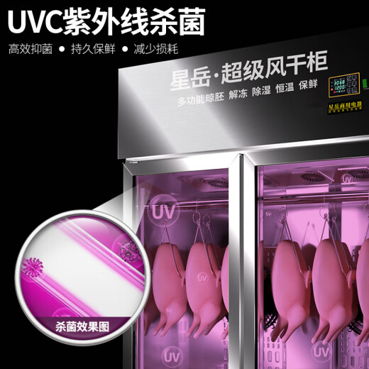 Xingyue intelligenter Enten trockener Schrank Braten Entenembryo Trocknungsschrank kommerzielle geröstete Teigente Ente Gänse Hühner Spezial kaltes Entenschrank Trockner Frisch und sterilisierte Lufttrocknungsschrank Restaurant Restaurant Rücken Küche Duck Blowing Machine All Luxury Fast Air Trocknen einzelner Tür (600*675*2100)