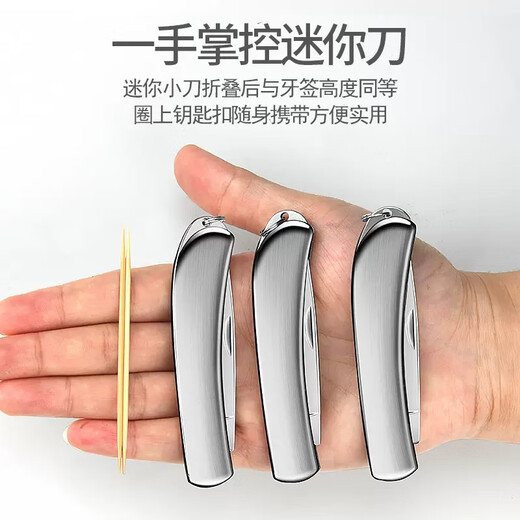 Andena Folding Fruit Knife Household Stainless Steel Fruit Knife Dormitory Student Portable Knife Style All-Steel Folding Fruit Knife 1