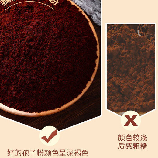 Ganjunzhuang authentic Ganoderma spore powder Changbai Mountain self-produced and self-sold robe powder Northeast specialty spore powder 2 bottles of 500 grams Changbai Mountain top road powder