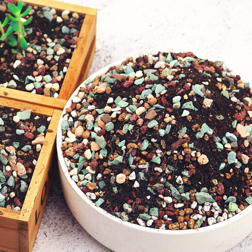 Green succulent special granular soil nutrient soil paving stone full particle universal medium potted planting soil decoration