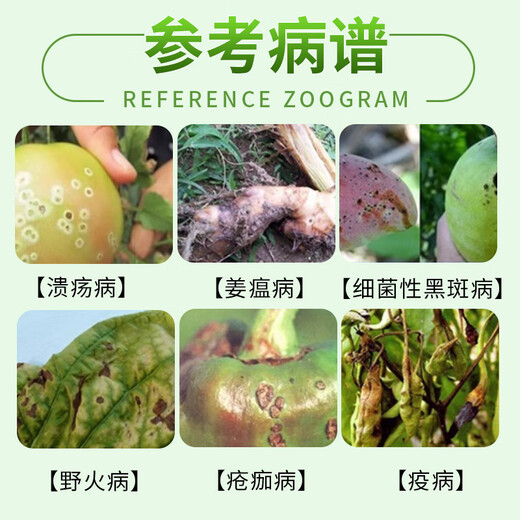 Wingselect 77% Copper Hydroxide Wet Powder Canker Bacterial Angular Spot Downy Mildew Fungicide 1000