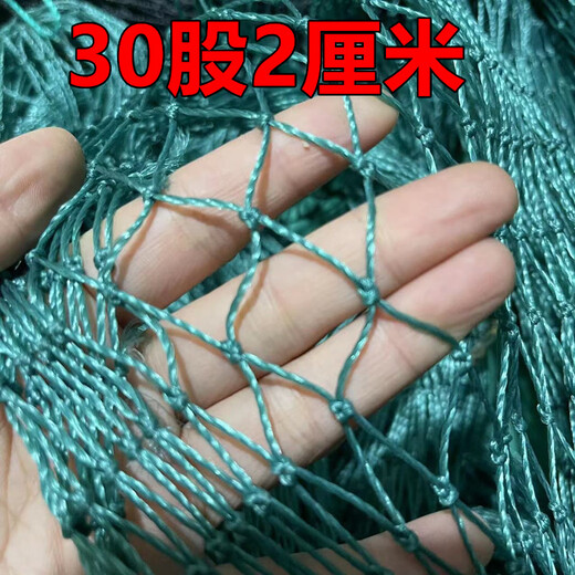 Customized fishing net mesh polyethylene knotted net pull net fish cage fish enameled fence partition net anti-bird net chicken and duck net 18 strands 1.5 cm 1 meter wide 5 meters long