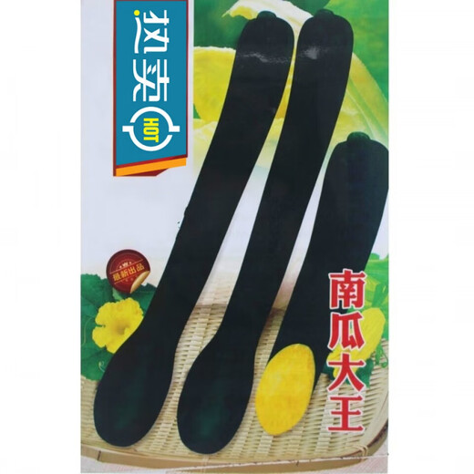 Pumpkin King Seeds Super Sweet Big Hanging Melon Black Wolf Long Pumpkin Stable Yield of Vegetables Four Seasons Spring Garden Vegetable Seeds Pumpkin King Seeds Original 2 Packs About 50 Tablets