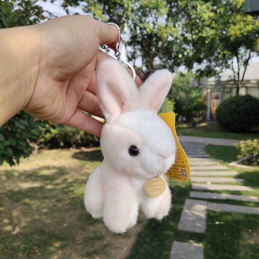 DRACO ins仿真小兔子钥匙扣毛绒挂件可爱小白兔公仔钥匙扣玩偶背包挂饰件礼物女情人节礼物 均阳仿真兔子灰色14厘米