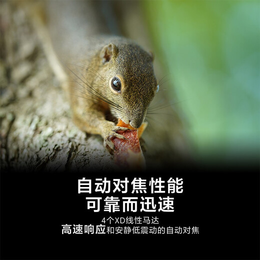 Sony (SONY) full-frame medium telephoto fixed-focus portrait lens FE135mmF1.8 GM+ original UV lens official standard