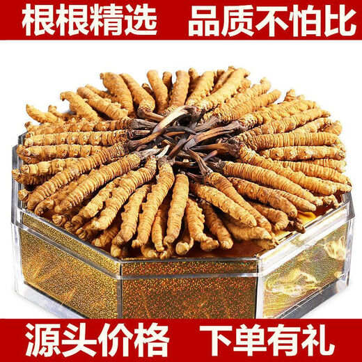 
Beijing Tongrentang same quality 2024 first-year Cordyceps sinensis 10 gift boxes for broken Cordyceps whole dry goods SF Express 2 fine pieces/gram 10 total 5 grams [Caote]