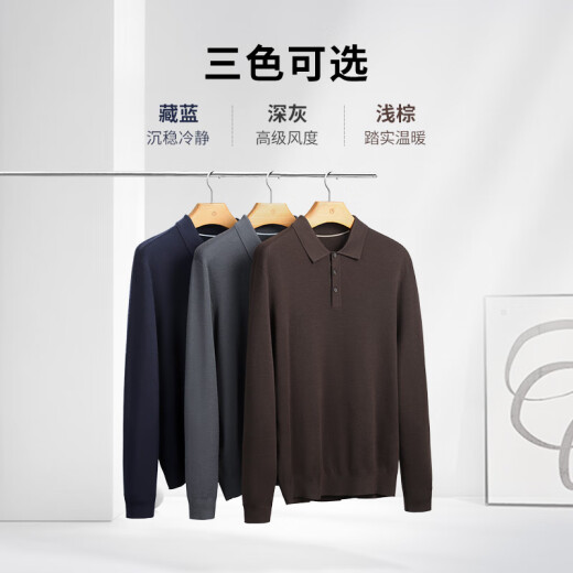 金利来【含羊毛】秋冬新款针织衫男保暖舒适多色翻领休闲通勤毛衣 藏蓝-95 L (175)
