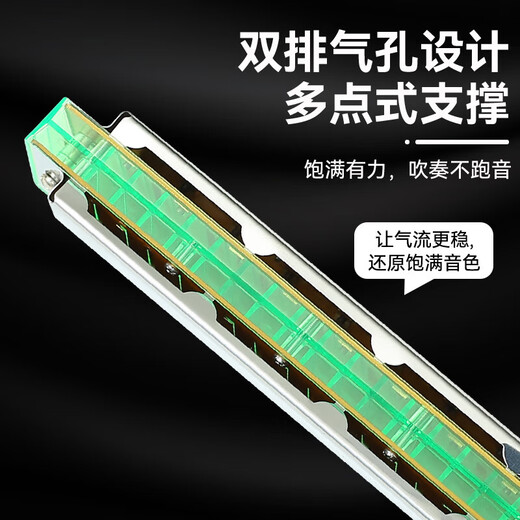 天鹅口琴c调24孔初学者学生入门儿童复音成人专业重音C调口风琴乐器 10孔【布鲁斯】金色+赠品