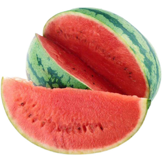 Meidu 8482 Kirin Watermelon Seed Collection Lazy Man Sweet King Seedless High Yield Balcony Small Southern Vegetable Seed Lazy Man 8424 Watermelon About 35 Pieces Original Activity