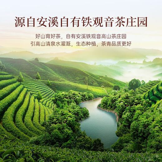 华祥苑乌龙茶 安溪铁观音清香型一级78g罐装优选口粮茶叶