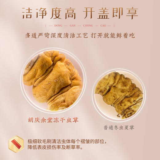 Hu Qingyutang Cordyceps sinensis 3.2 Wurzeln/G 10g Geschenkbox ca.