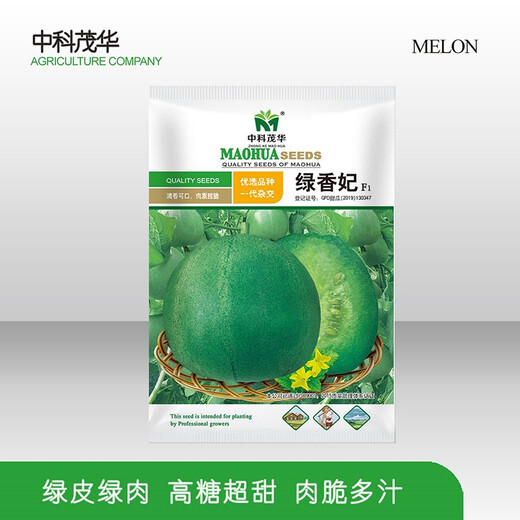 Zhongke Maohua Fruit Seeds Green Fragrant Fei Melon Seeds Emerald South Korea Emerald Green Jade Green Skin Green Flesh Melon Seeds Lv Xiangfei 50 capsules/bag Trial Pack-Super Sweet Type