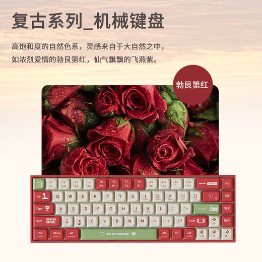 黑爵（AJAZZ）AK680有线机械键盘 双拼键帽 68键 全键热插拔 客制化机械键盘 混彩灯效 便携小巧 灰白 红轴	