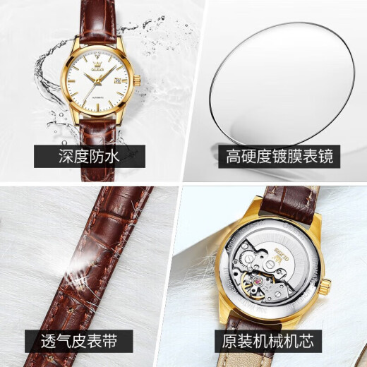 OLEVS (OLEVS) Swiss certificados Diez relojes Top Diez para Women Temperamento mecánico completamente automático Temperamento simple Reloj de mujeres Luz de lujo Luxury Small Belt 6629 Versión mejorada de cuero marrón Gran grabado para mujeres