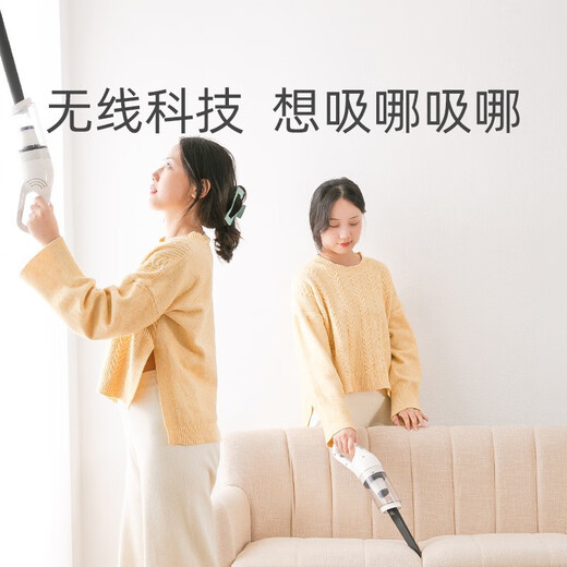 Nervous cat pet hair extractor electric cat hair cleaner cat and dog hair vacuum cleaner hair removal adsorption bed carpet short handle hair extractor (black) + 2 original filters