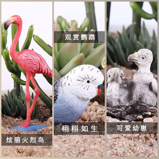 Modelo de animales Yicai Simulación sólida Juego de juguetes Cognitive Birds Eagle Parrot Peacock Flamingo adornados M723 Nuevo loro [0021]