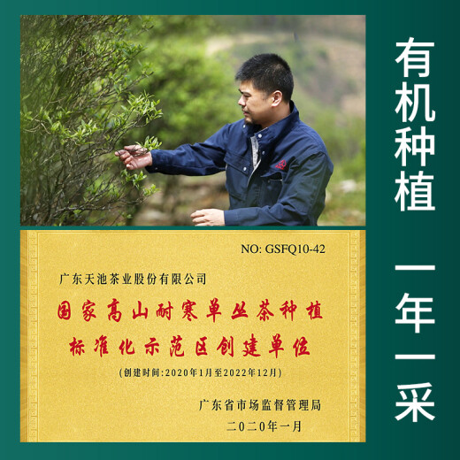 1392天池茶业凤凰单枞[金山]甄选品鉴装潮州单丛老枞蜜兰香东方红宋种 宋种 14g*1盒