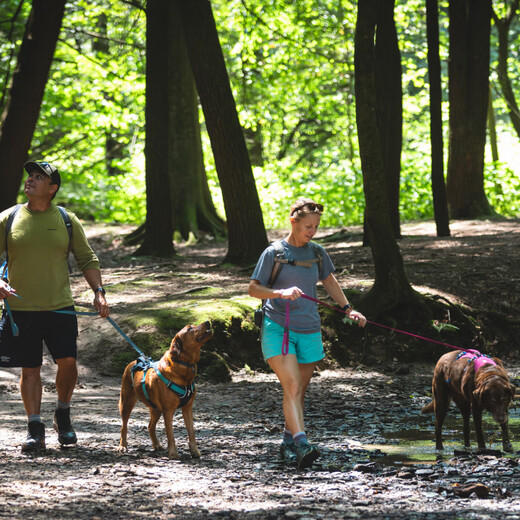 Ruff Wilvergland dog leash large dog ruffwear Golden Retriever Shiba Inu Teddy pet dog leash dog chain p chain Zhaoxia powder