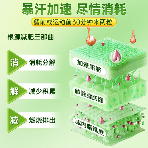 Tong Ren Tang Weight Loss L-Carnitine Tea Polyphenol Capsules 2 Bottles 0 Sugar 0 Fat 0 Calories Reduce Fat Slim Belly Burn Fat Whole Body Quickly Slim