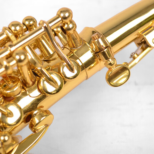Golden Tone Saxophon Windinstrument Anfänger Übung professionelle Bewertungsband Performance Golden Jyss-E100