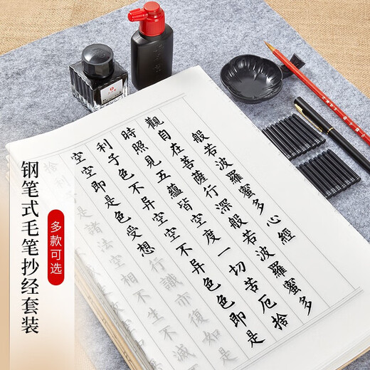 Liupintang Heart Sutra copybook fountain pen style calligraphy copybook meditation small regular script copy practice sticker book adult soft pen red calligraphy sutra hand copy half-cooked 90 times set