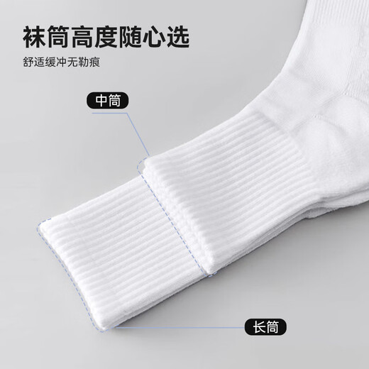 维多利亚旅行者4双装夏透气篮球袜运动袜子男减震中筒短袜训练球袜跑步棉袜