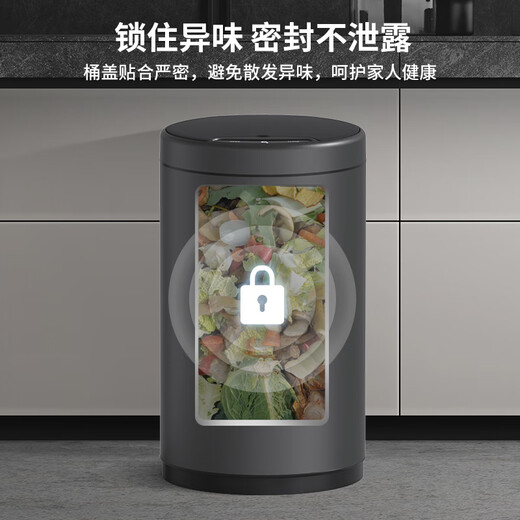家华不锈钢智能感应垃圾桶电动家用厨房客厅卧室带盖6626钛金灰 9L