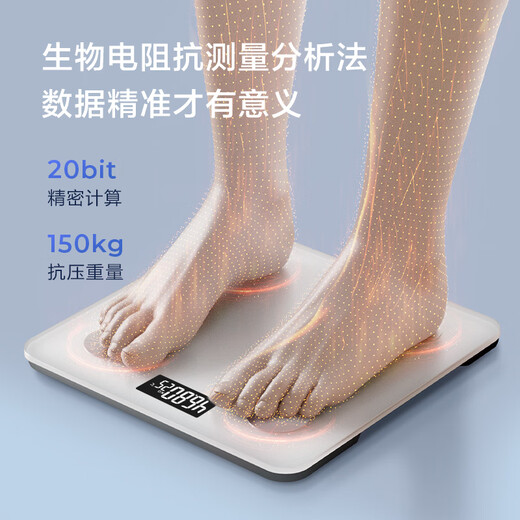 kammoy康美体脂秤 智能体脂称体重秤电子秤人体秤家用减肥 22项数据 白【电池款】
