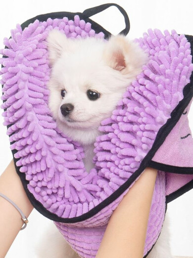 DOGSTORY宠物毛巾吸水速干超强狗狗洗澡专用加厚防咬防抓浴巾猫咪清洁用品 厚款蓝色均码6223