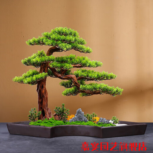LZJV苔藓吸水石盆器盆景盆长方形菖蒲假山上水石水培紫砂陶瓷底盘盆 盆景盆2677 陶瓷_大