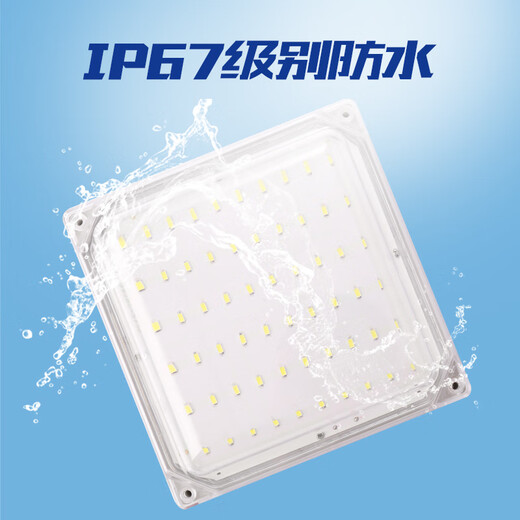 Aroden LED special lamp for cold storage, waterproof and moisture-proof lamp, explosion-proof and three-proof lamp, bathroom lamp, special lamp for cold storage and ice storage, oval cold storage lamp 25/W