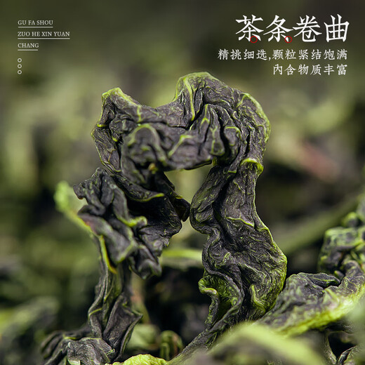 飘香韵乌龙茶 安溪铁观音 茶叶春茶2025新茶清香型 核心产区茶叶自己喝 【热销爆款】2A清香型铁观音500g