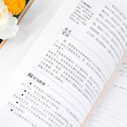现货速发儒林外史和简爱书籍 原著完整版无删减格列佛游记我是猫 [完整版686页]水浒传(赠考题册)