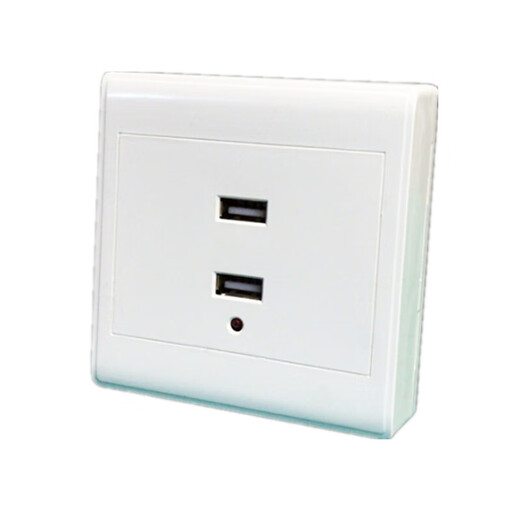 People's Electrical Appliances USB Socket Panel Specifications Two-digit USB Unit