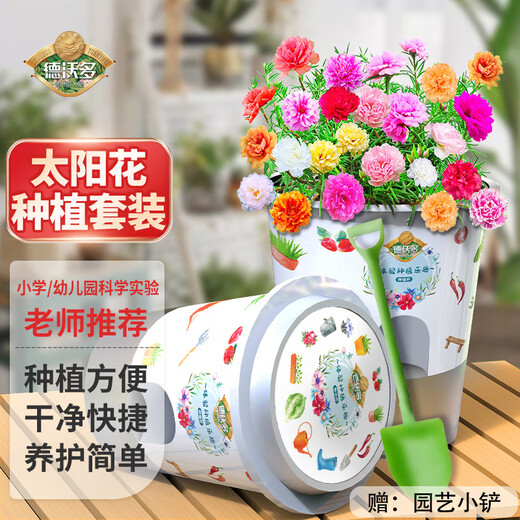 Devodo Sunflower Seeds DIY Children's Fun Planting Potted Sets Student Plant Observation Kindergarten Mini Potted Plants