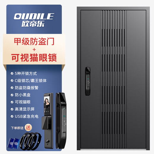 欧帝乐（OUDILE）新款通风4级防盗门入户门+透气门窗隐藏加高安全门+指纹智能锁 可视猫眼锁 2150*1050/2250*960