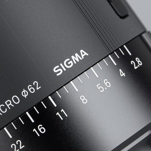 SIGMA 105mm F2.8 DG DN Macro full-frame mirrorless camera macro lens L mount
