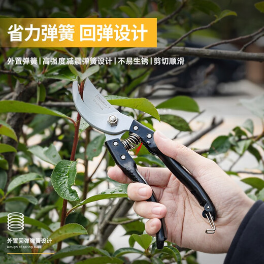 Deli fruit tree scissors, labor-saving scissors, garden pruning branch scissors, branch scissors, garden potted flowers, thick branch shears, metal handle pruning shears
