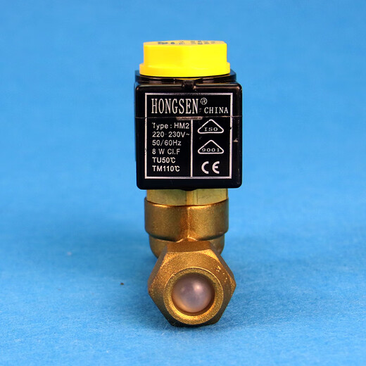 Yangsheng Fuque Panluo Magnetventil Ventil Hongsen Kartentyp Magnetventil 10 Serie Kühlpraxis Zwei-Wege-Magnetventil Kühlpraxis Kühlung 1098/7 (22 mm Schweißanschluss 220 V)