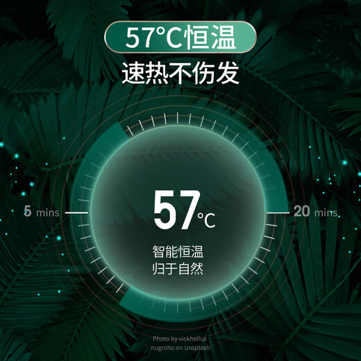 AUX Hair Dryer Home Negative Ions Will Not Damage Hair 1800W High Power High Wind Hair Dryer Dormitory Use Low Power Mini Portable Hair Dryer AH7800 Emerald Negative Ion Hair Care 1800W