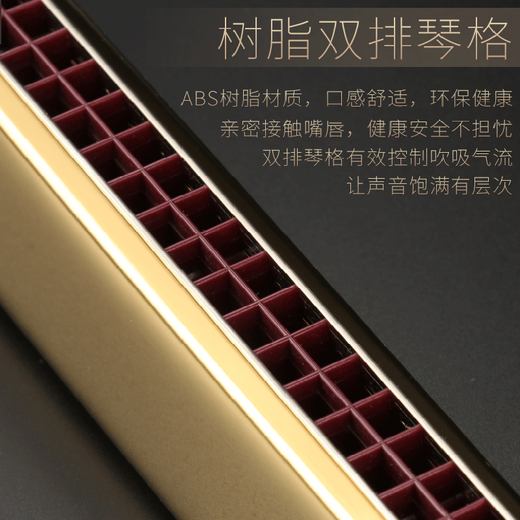 Easttop German Импортированный Gong Oriental Harmonica Взрослый 28 Отверстие Полифоническая/Акцент Профессиональный уровень производительности.