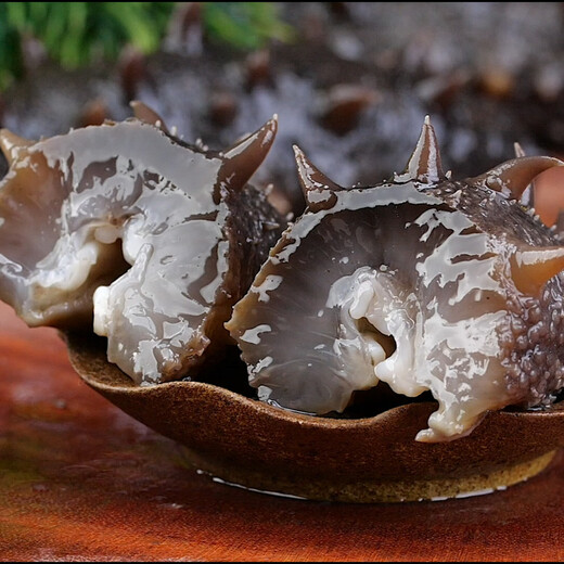 Jingmi Dalian ready-to-eat sea cucumber 1Jin Jin equals 0.5kg 12-17 pieces solid 90% OCC seafood family pack